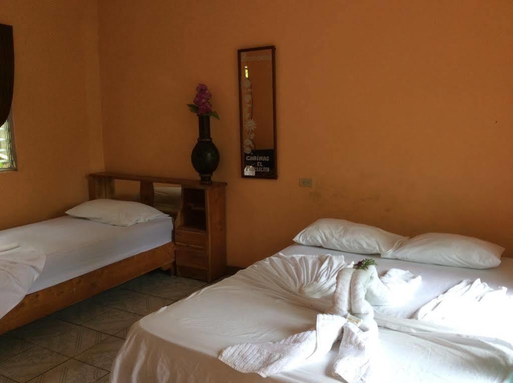 Cabinas El Muellecito Tortuguero Zewnętrze zdjęcie